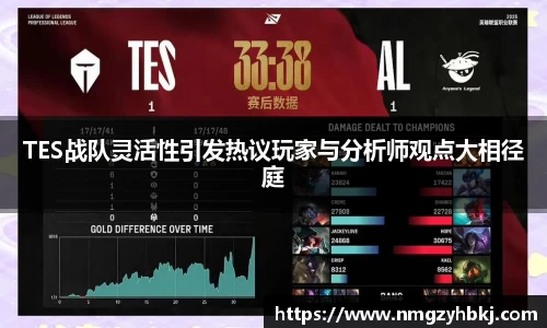 TES战队灵活性引发热议玩家与分析师观点大相径庭