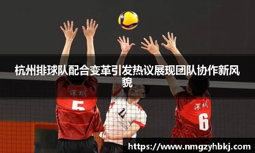 杭州排球队配合变革引发热议展现团队协作新风貌